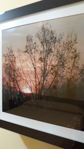Bed & Breakfast Affittacamere Mammanella