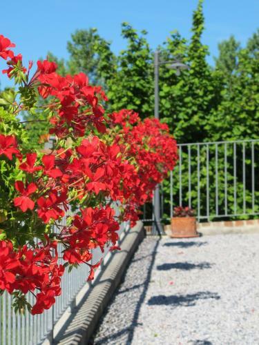 Bed & Breakfast Affittacamere Mammanella
