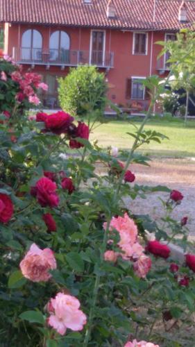 Bed & Breakfast Affittacamere Mammanella
