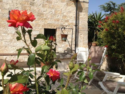 Bed & Breakfast Trullicolarossa