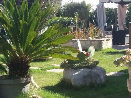 Bed & Breakfast Trullicolarossa