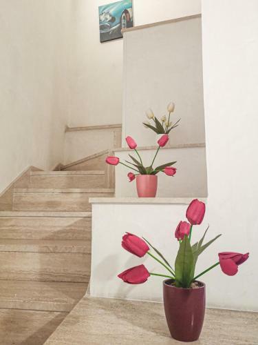 Apartamento Casaulente