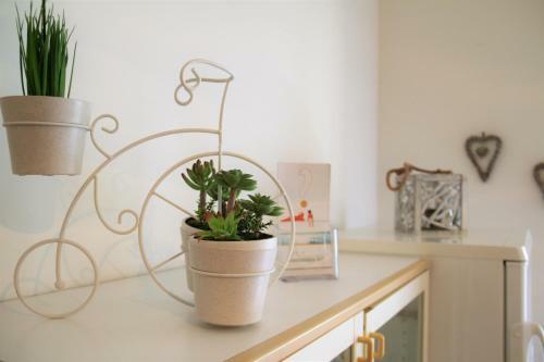 Apartment Malta