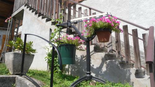Gites Le Criou Et Le Moulin