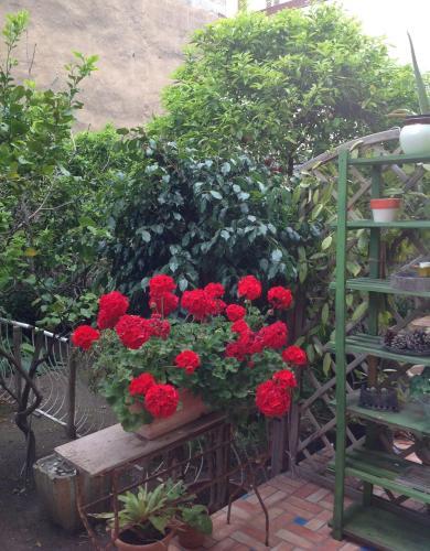 Apartamento Carrer Dels Horts