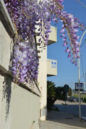 B&B Edera & Giglio