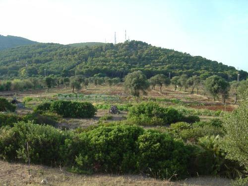 Apartamento Villa Rosanna