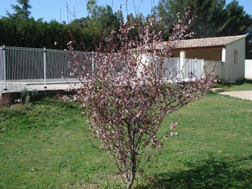 Bed & Breakfast L'oustalet De Sylvie