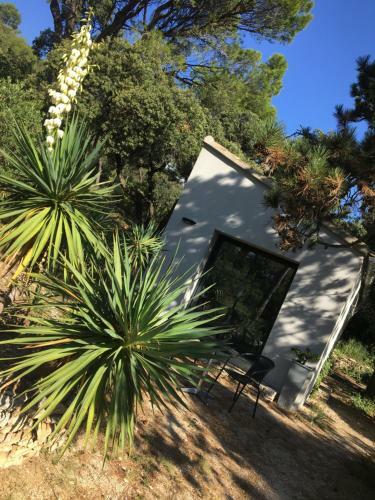 Bed & Breakfast New Cabanon