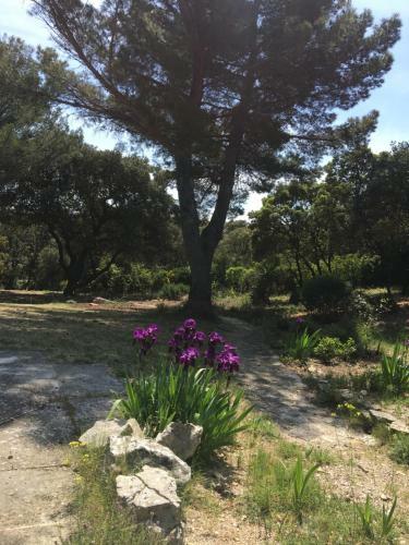 Bed & Breakfast New Cabanon