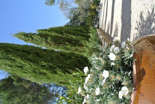 Hotel Cot� Ventoux
