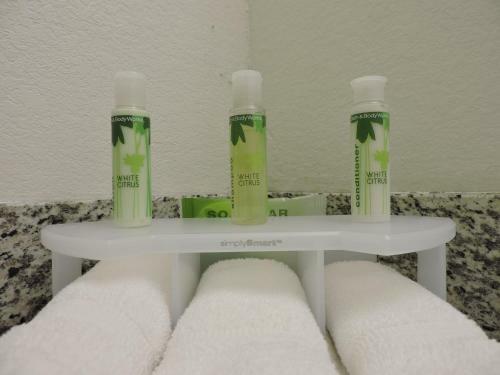 Hotel Holiday Inn Express And Suites Montgomery