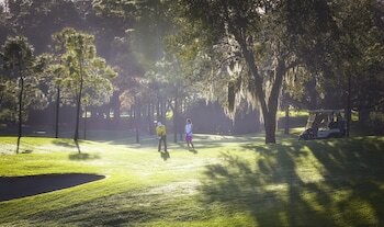 Hotel Innisbrook - A Salamander Golf And Spa Resort