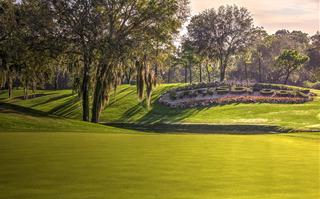 Hotel Innisbrook - A Salamander Golf And Spa Resort
