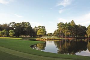Hotel Innisbrook - A Salamander Golf And Spa Resort
