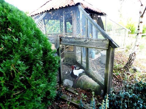 Bed & Breakfast La Ferme De Jeanne