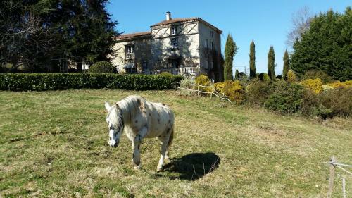 Bed & Breakfast La Ferme De Jeanne