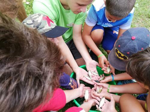 Camping Audinac Les Bains