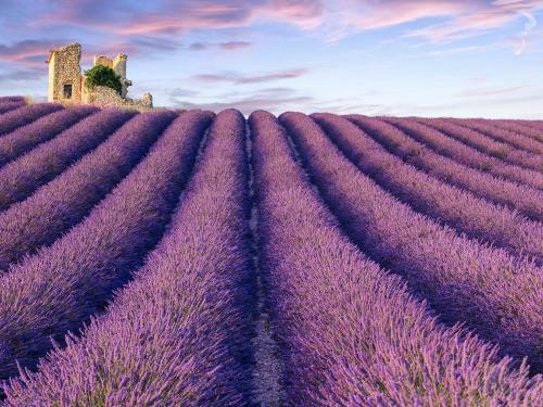 Bed & Breakfast La Bastide Des Templiers