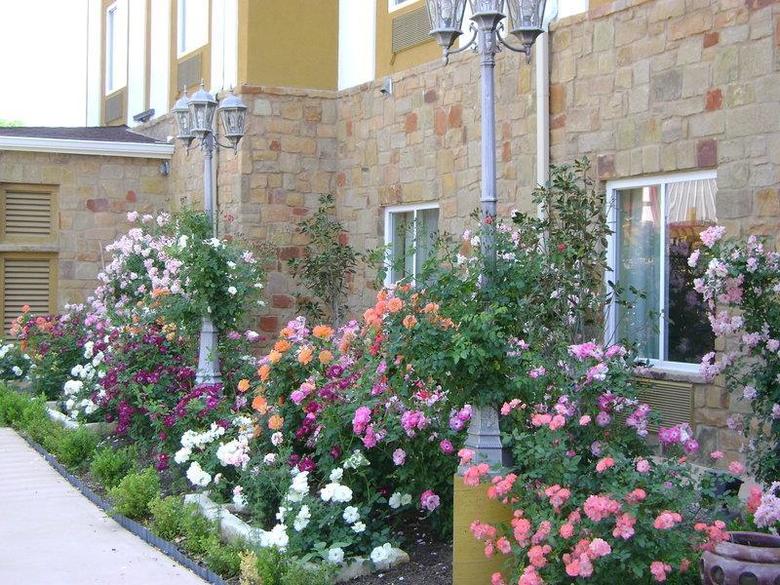 Hotel Best Western Plus Blanco Luxury Inn And Suites