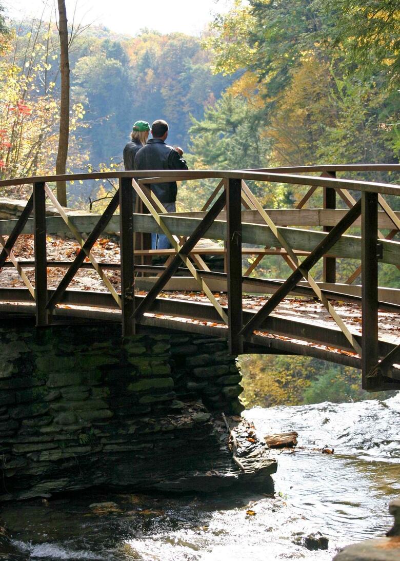 Hotel Hampton Inn Geneseo