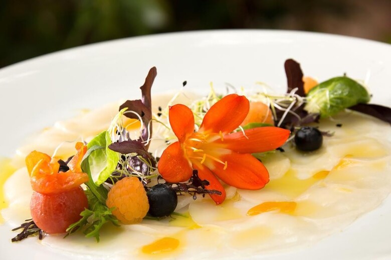 Hotel Les Jardins De La Medina