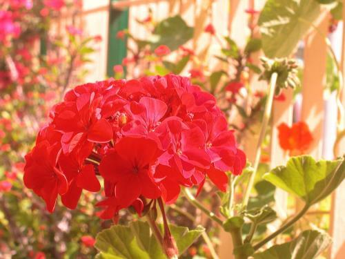 Apartamento Villa Paradise