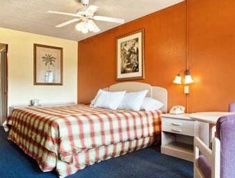 Motel Sun City Center Inn