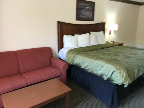 Motel Clairmont Inn & Suites - Warren