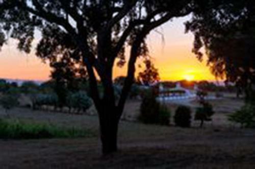 Hostal Quinta Da Espada