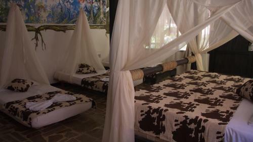Hostal Monte Verde