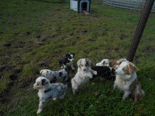 The Branded Calf Bed & Breakfast