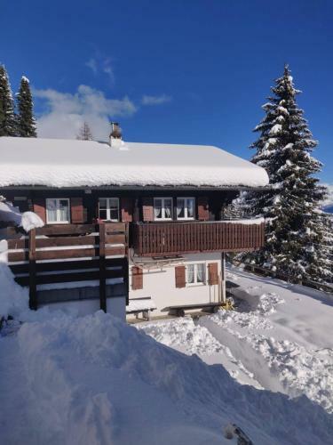Apartamentos Chalet Grazia