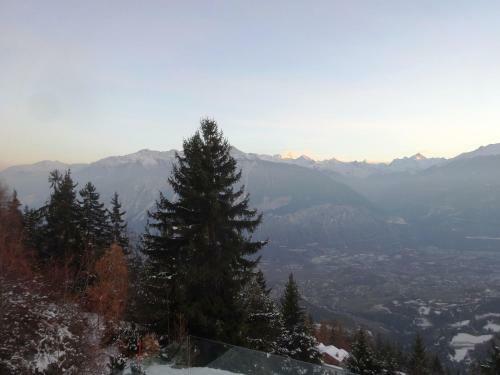 Chalet Xenia