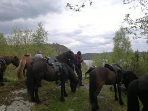 �lgbergets Bed & Breakfast