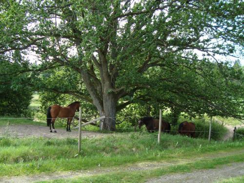 �lgbergets Bed & Breakfast