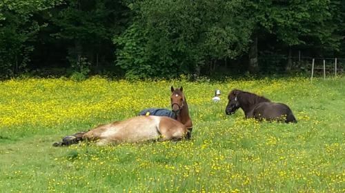 �lgbergets Bed & Breakfast