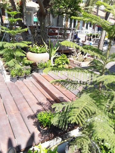 Hotel Barbados Terrace