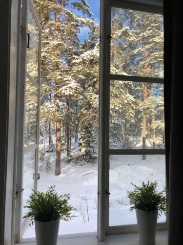 Bed & Breakfast Hedenstugan