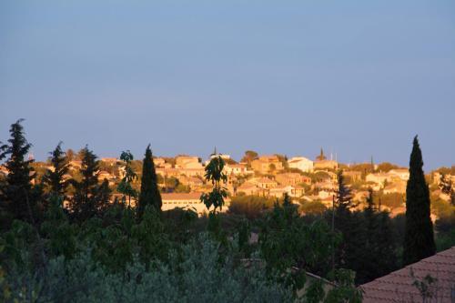 Apartamento En Avignon