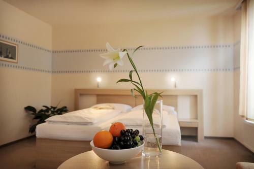 Hotel Biograf