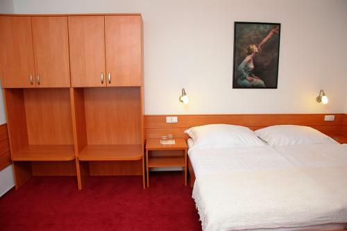 Hostal Penzion Bocheta