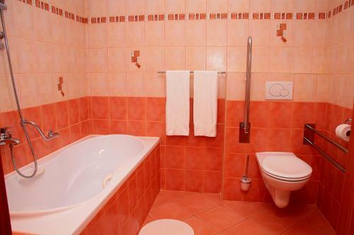 Hostal Penzion Bocheta