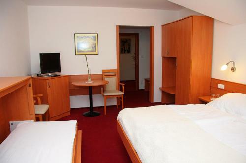 Hostal Penzion Bocheta