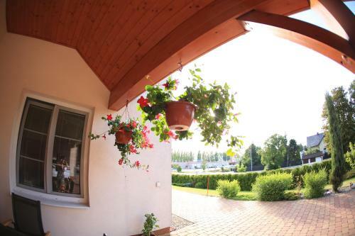Hostal Penzion Bocheta