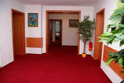 Hostal Penzion Bocheta
