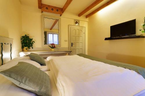 Hostal Penzion U Kriveho Psa