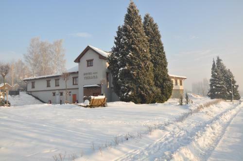 Euroagentur Hotel Terasa