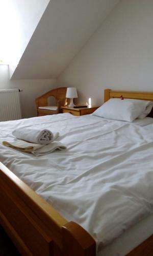 Hostal Penzion Bene?ova Hora