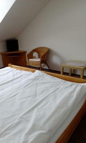 Hostal Penzion Bene?ova Hora